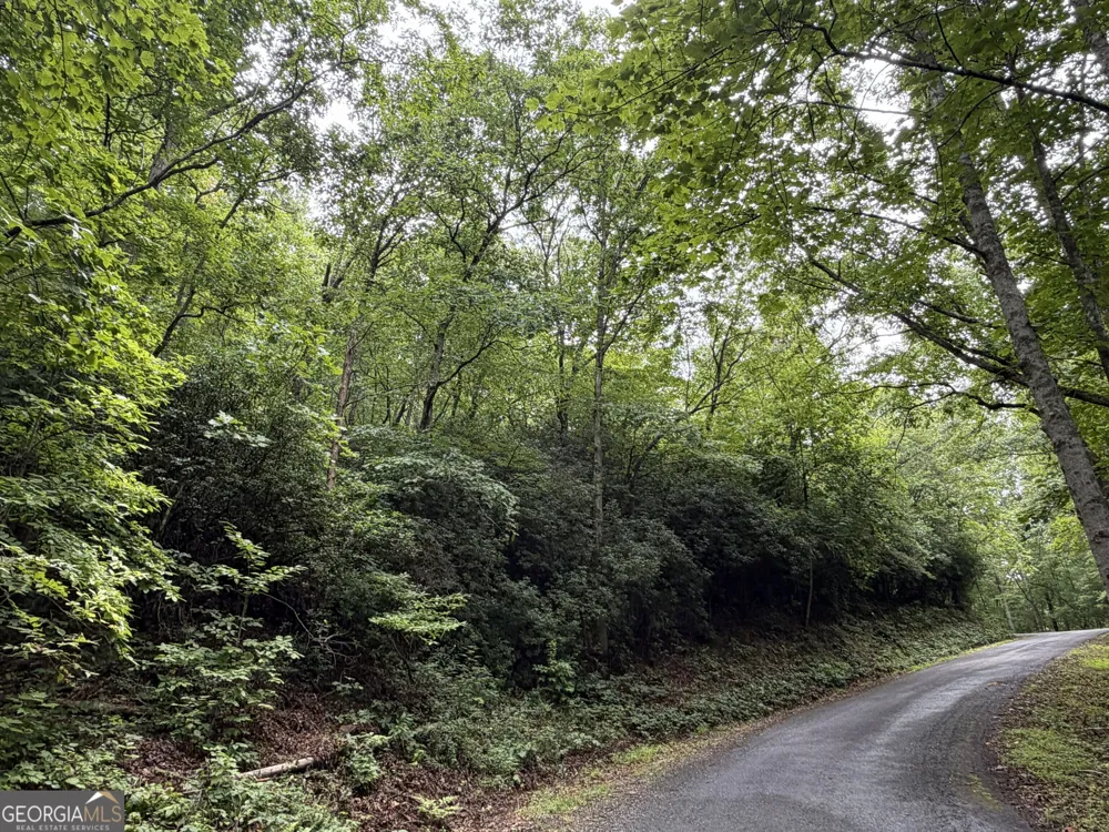 4.63 Twiggs RD Hiawassee, GA 30546