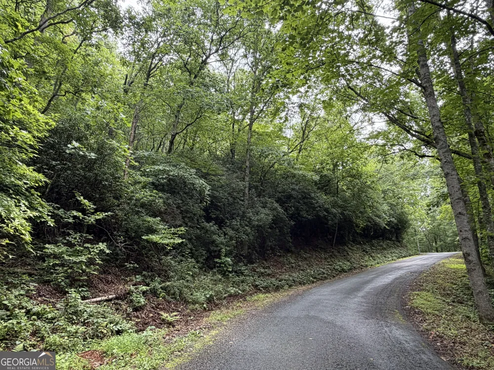 4.63 Twiggs RD Hiawassee, GA 30546