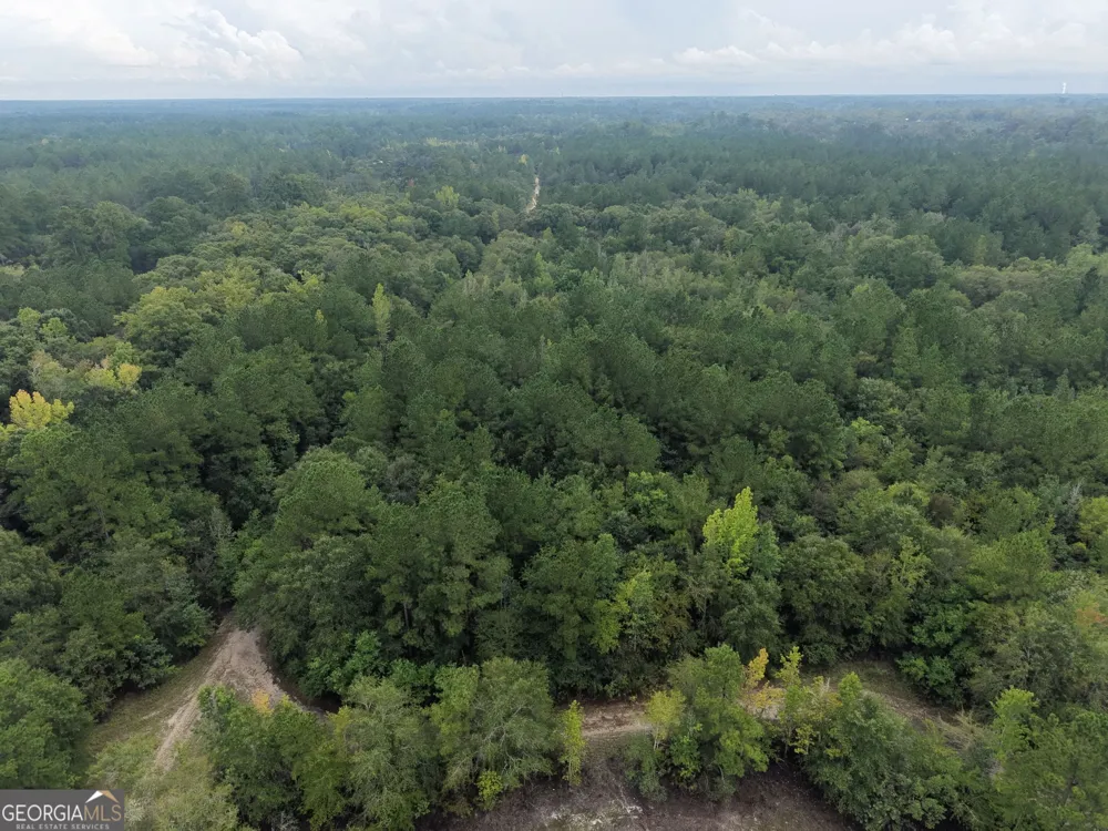 0 Jamestown Road Waycross, GA 31503