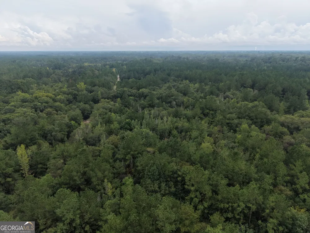 0 Jamestown Road Waycross, GA 31503