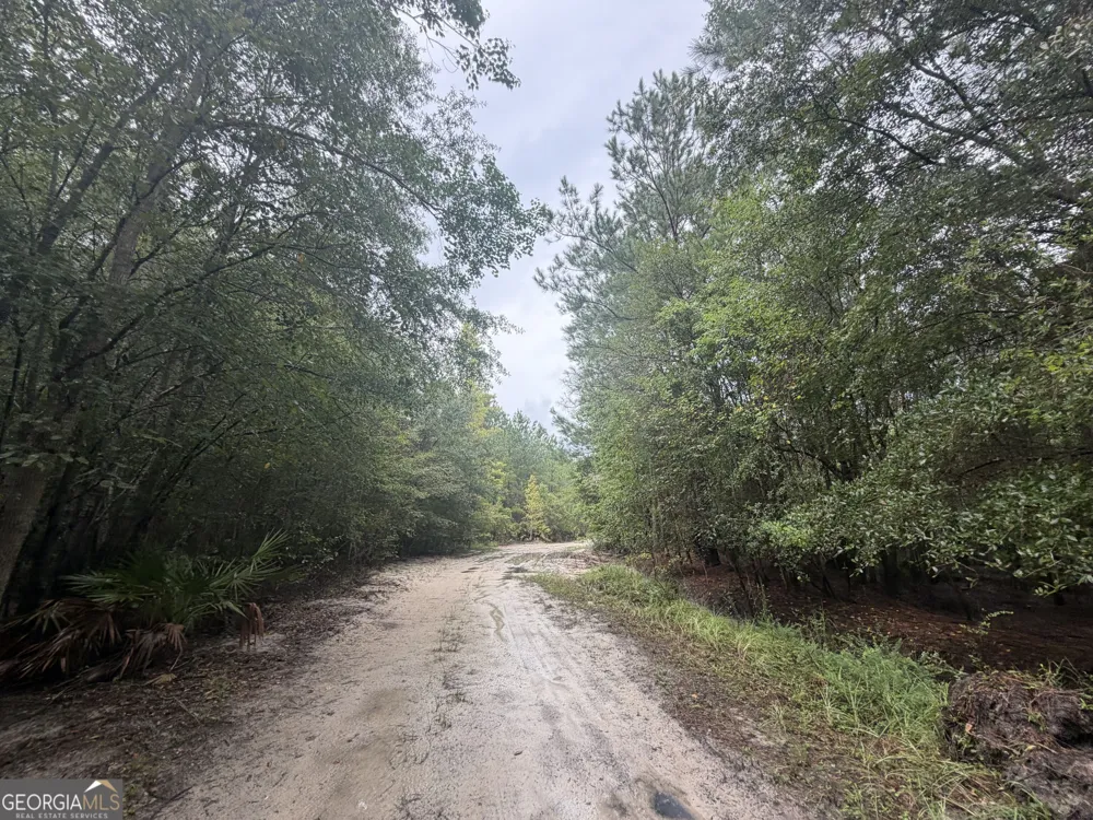 0 Jamestown Road Waycross, GA 31503