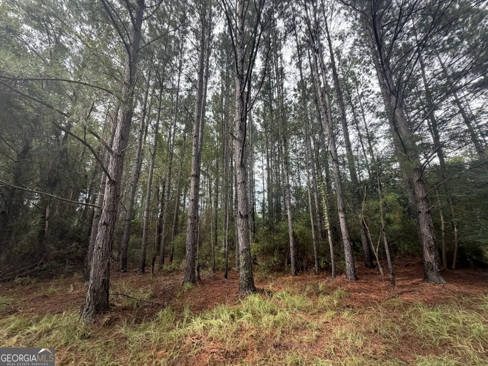 0 Jamestown Road Waycross, GA 31503