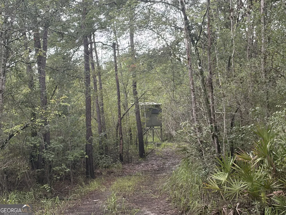 0 Jamestown Road Waycross, GA 31503