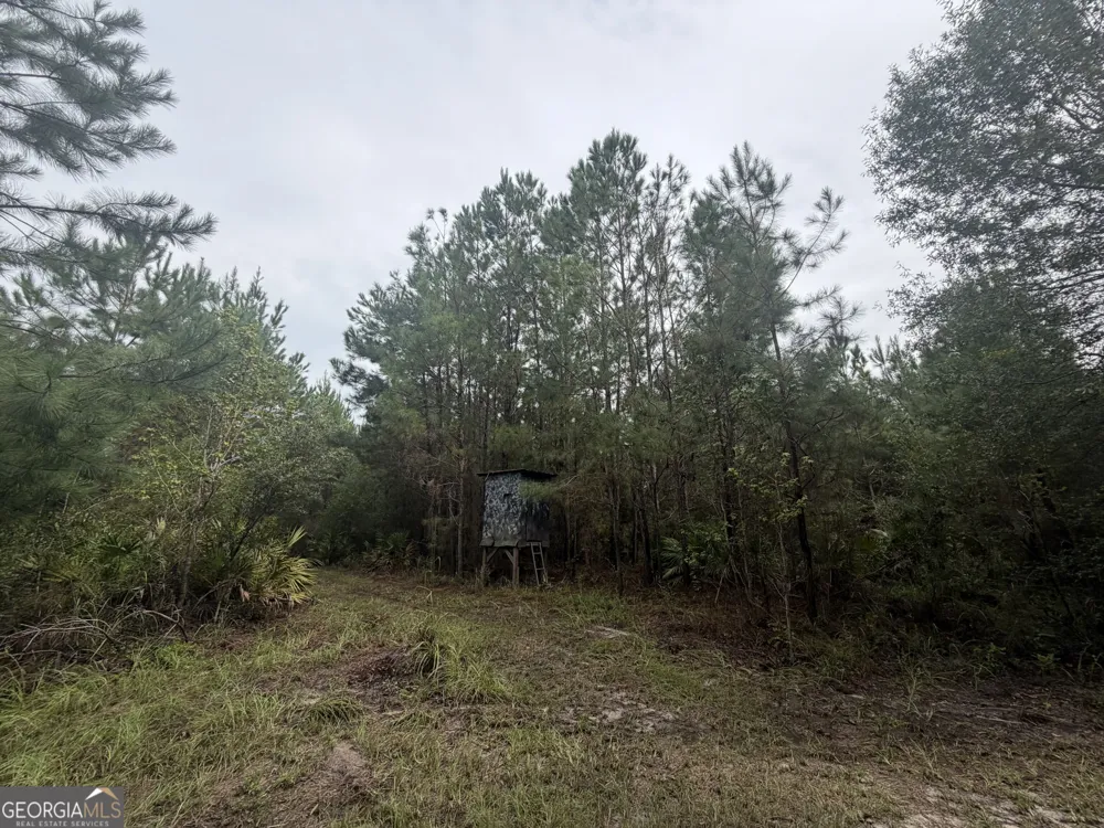 0 Jamestown Road Waycross, GA 31503