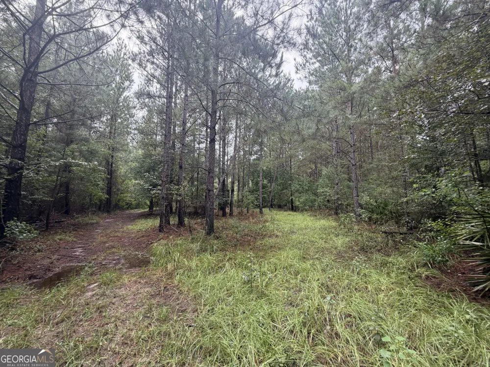 0 Jamestown Road Waycross, GA 31503