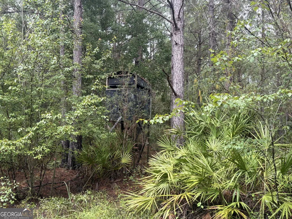 0 Jamestown Road Waycross, GA 31503