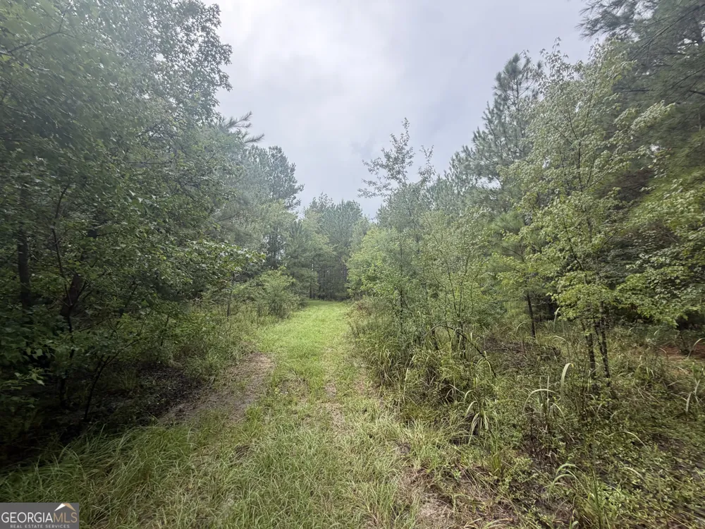 0 Jamestown Road Waycross, GA 31503