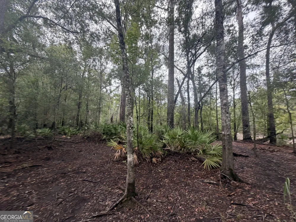 0 Jamestown Road Waycross, GA 31503