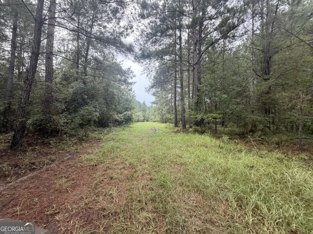0 Jamestown Road Waycross, GA 31503