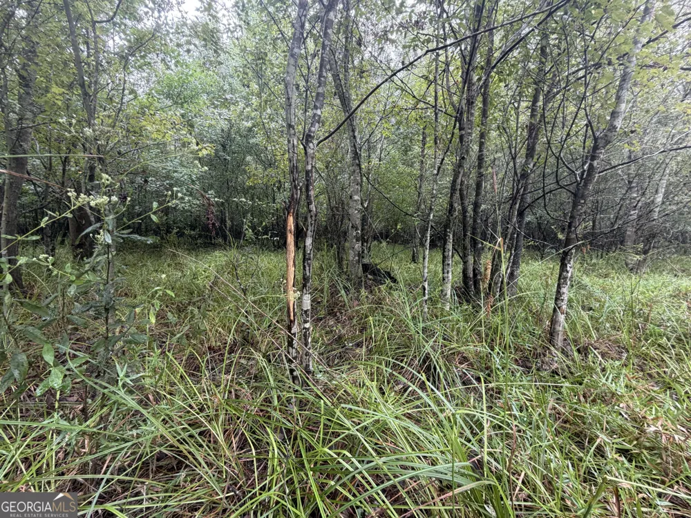 0 Jamestown Road Waycross, GA 31503