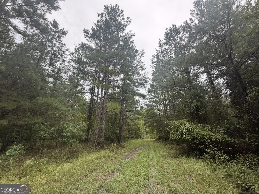 0 Jamestown Road Waycross, GA 31503