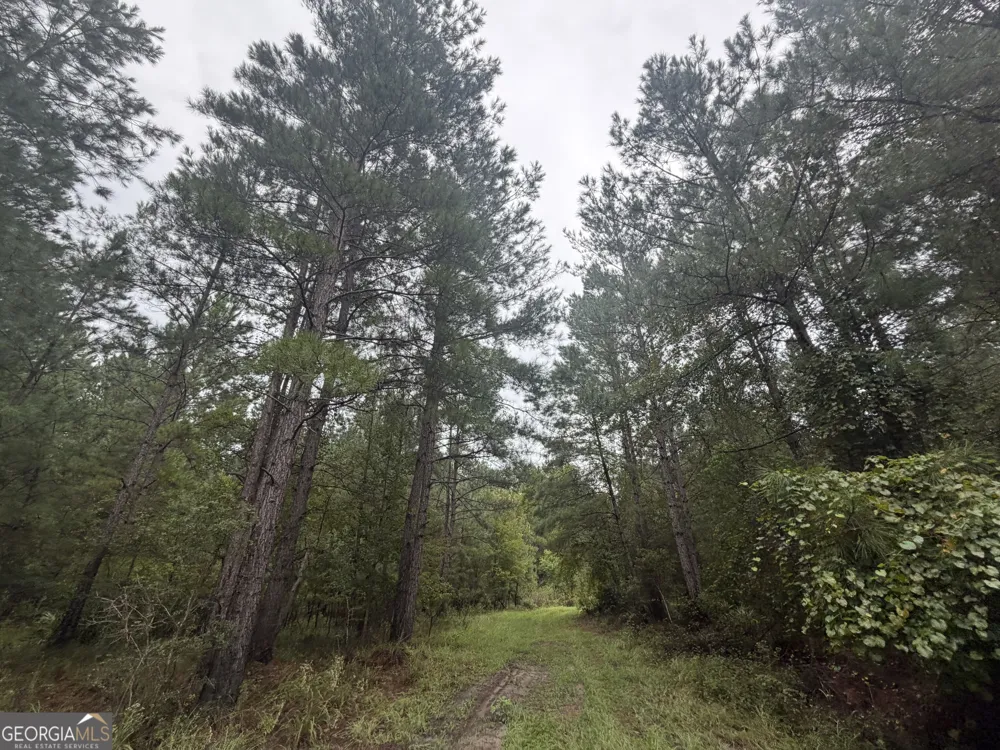 0 Jamestown Road Waycross, GA 31503