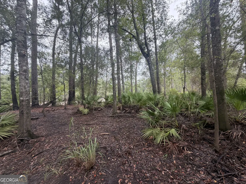 0 Jamestown Road Waycross, GA 31503