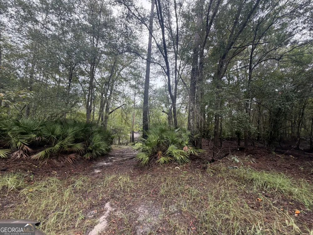 0 Jamestown Road Waycross, GA 31503