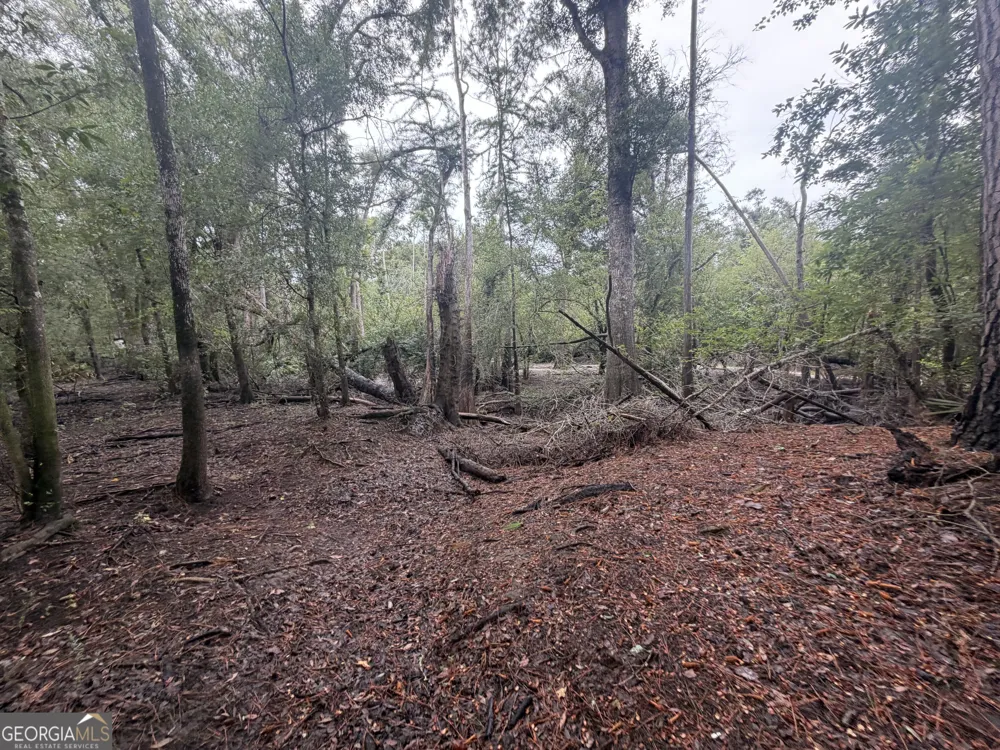 0 Jamestown Road Waycross, GA 31503