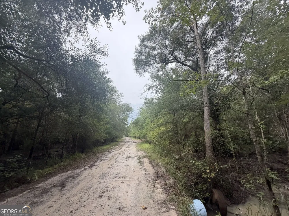 0 Jamestown Road Waycross, GA 31503