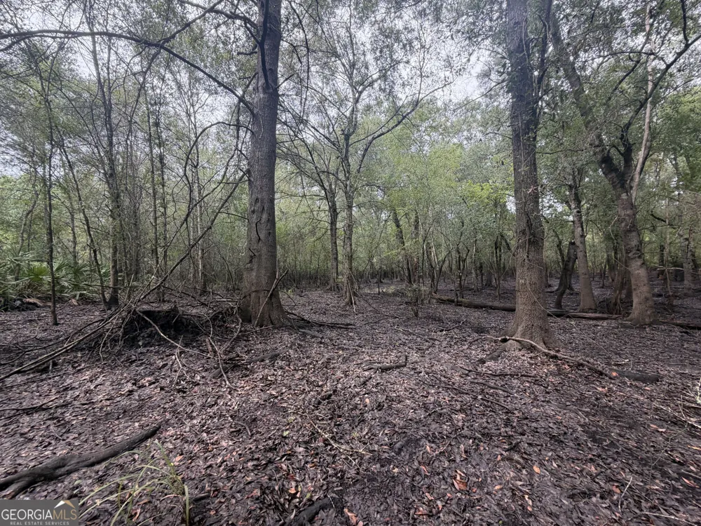 0 Jamestown Road Waycross, GA 31503