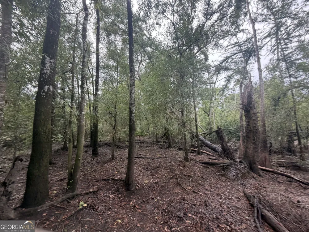 0 Jamestown Road Waycross, GA 31503