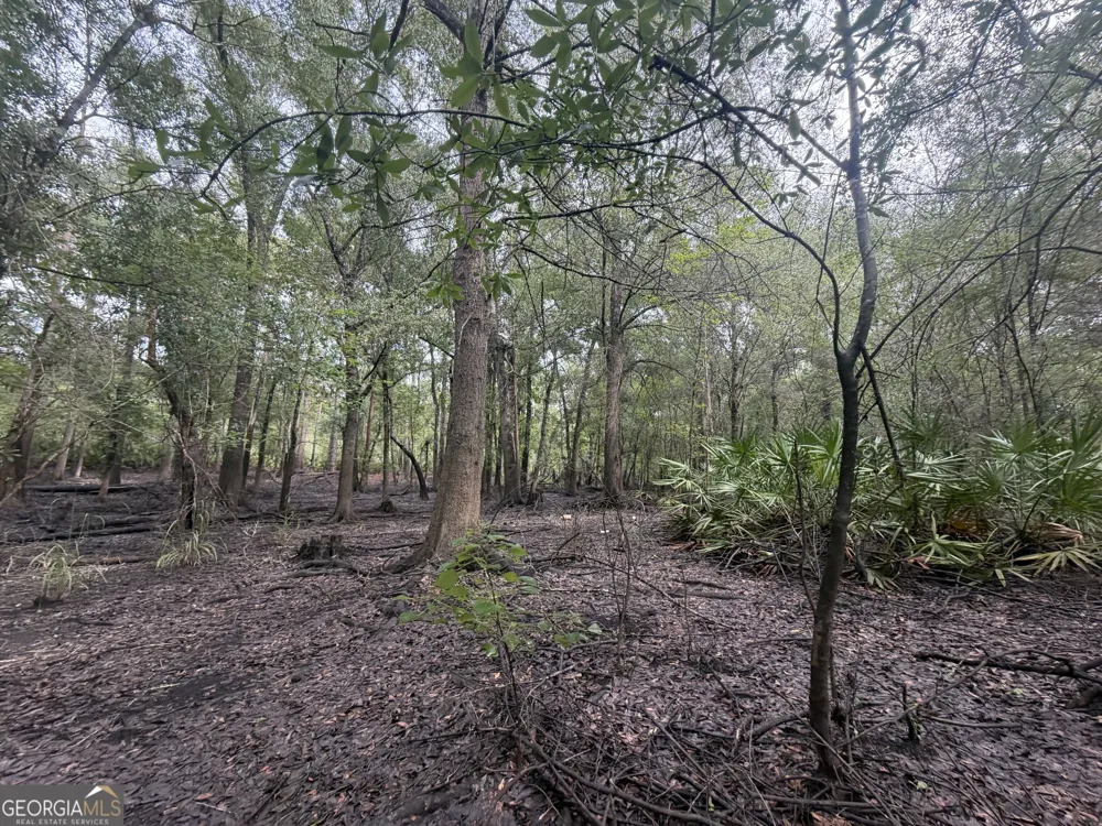 0 Jamestown Road Waycross, GA 31503