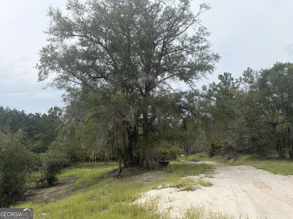 0 Jamestown Road Waycross, GA 31503