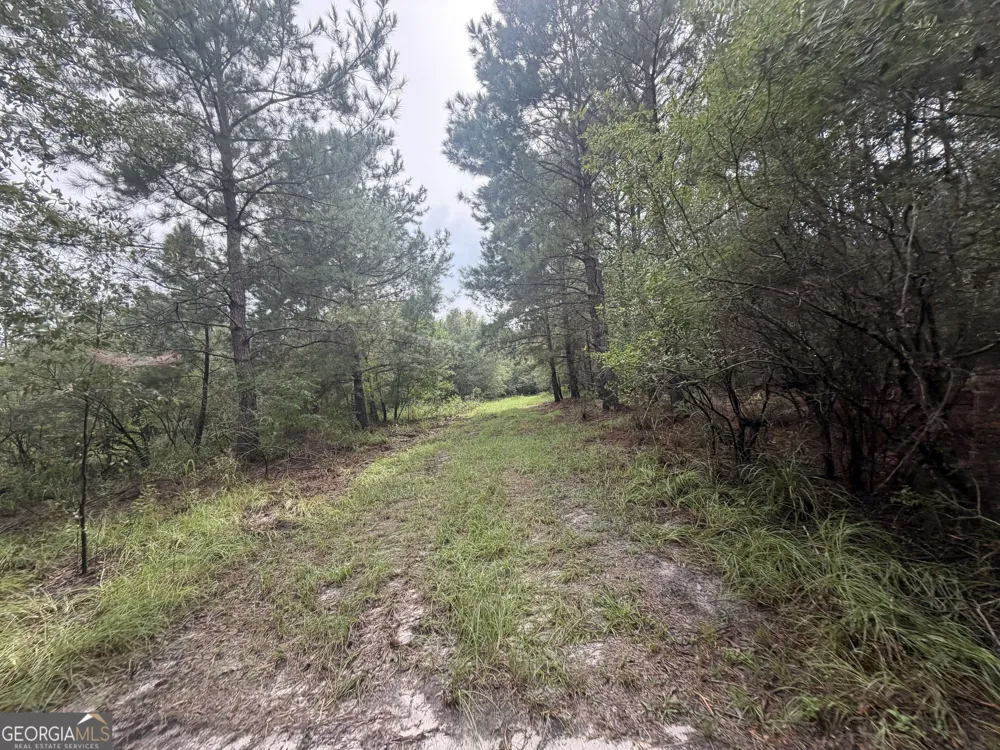 0 Jamestown Road Waycross, GA 31503