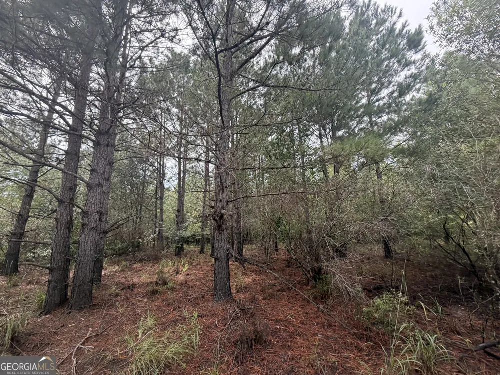 0 Jamestown Road Waycross, GA 31503