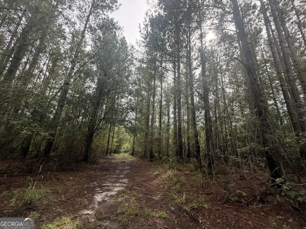 0 Jamestown Road Waycross, GA 31503