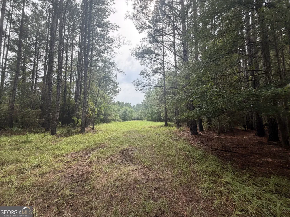 0 Jamestown Road Waycross, GA 31503