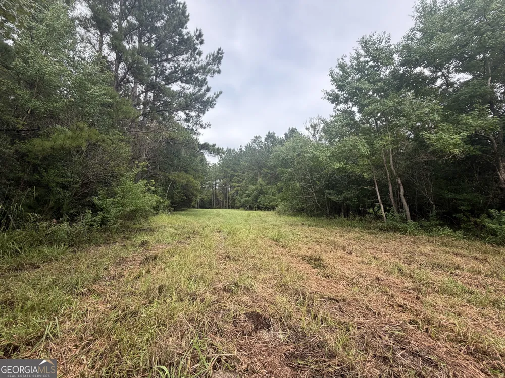 0 Jamestown Road Waycross, GA 31503