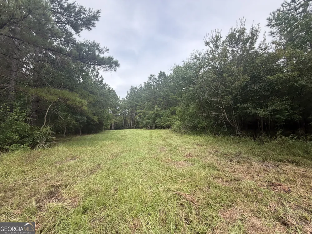 0 Jamestown Road Waycross, GA 31503