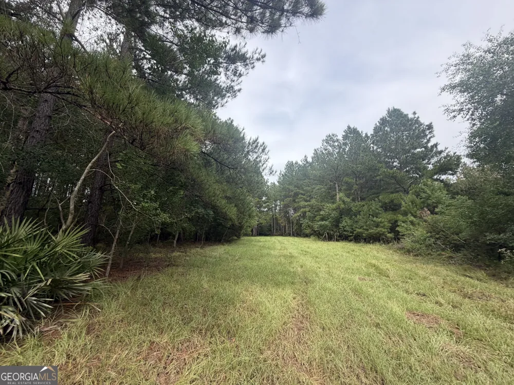 0 Jamestown Road Waycross, GA 31503