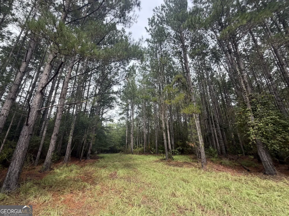 0 Jamestown Road Waycross, GA 31503