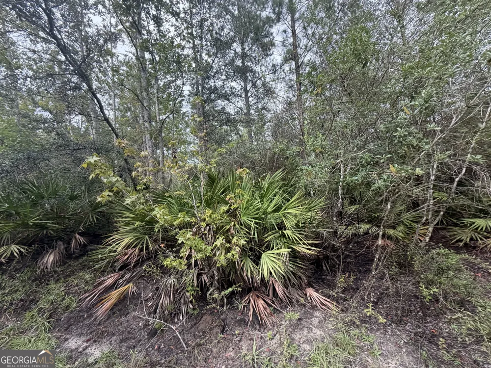 0 Jamestown Road Waycross, GA 31503
