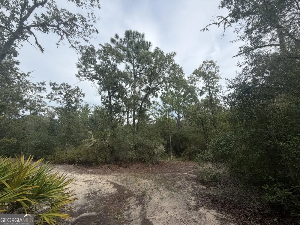 0 Jamestown Road Waycross, GA 31503