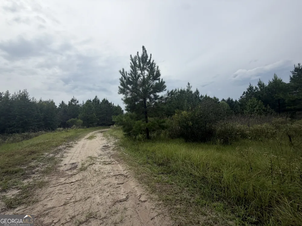 0 Jamestown Road Waycross, GA 31503