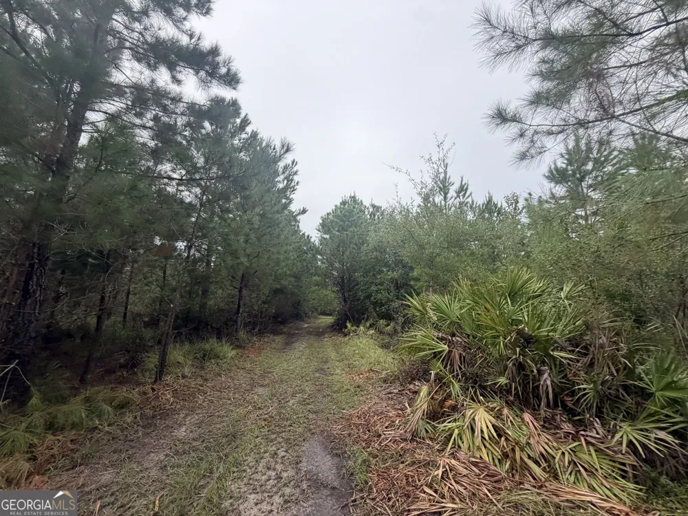 0 Jamestown Road Waycross, GA 31503