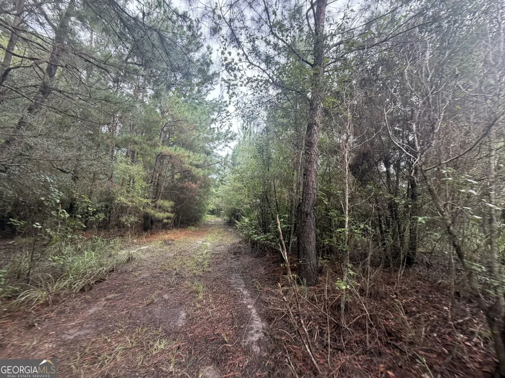 0 Jamestown Road Waycross, GA 31503
