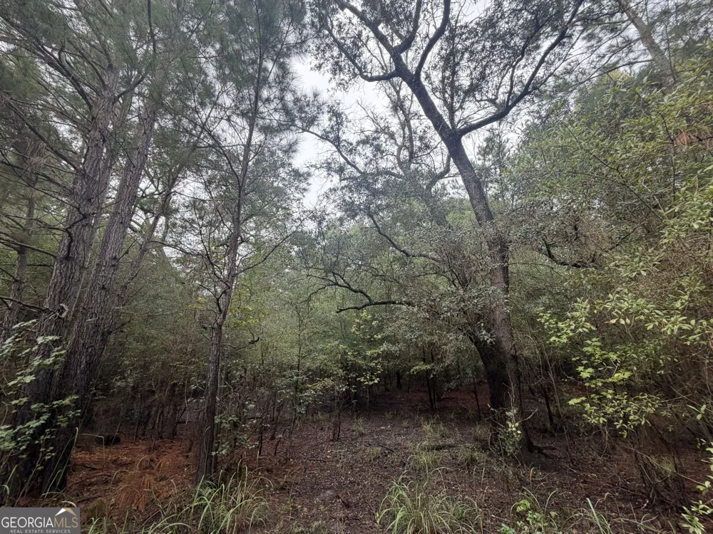 0 Jamestown Road Waycross, GA 31503