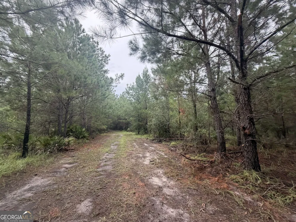 0 Jamestown Road Waycross, GA 31503