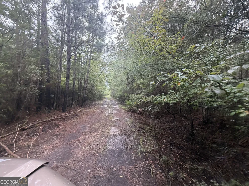 0 Jamestown Road Waycross, GA 31503