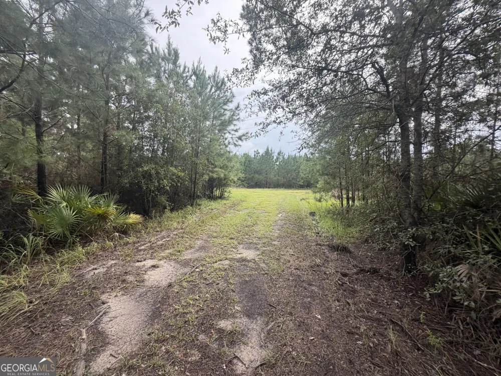 0 Jamestown Road Waycross, GA 31503