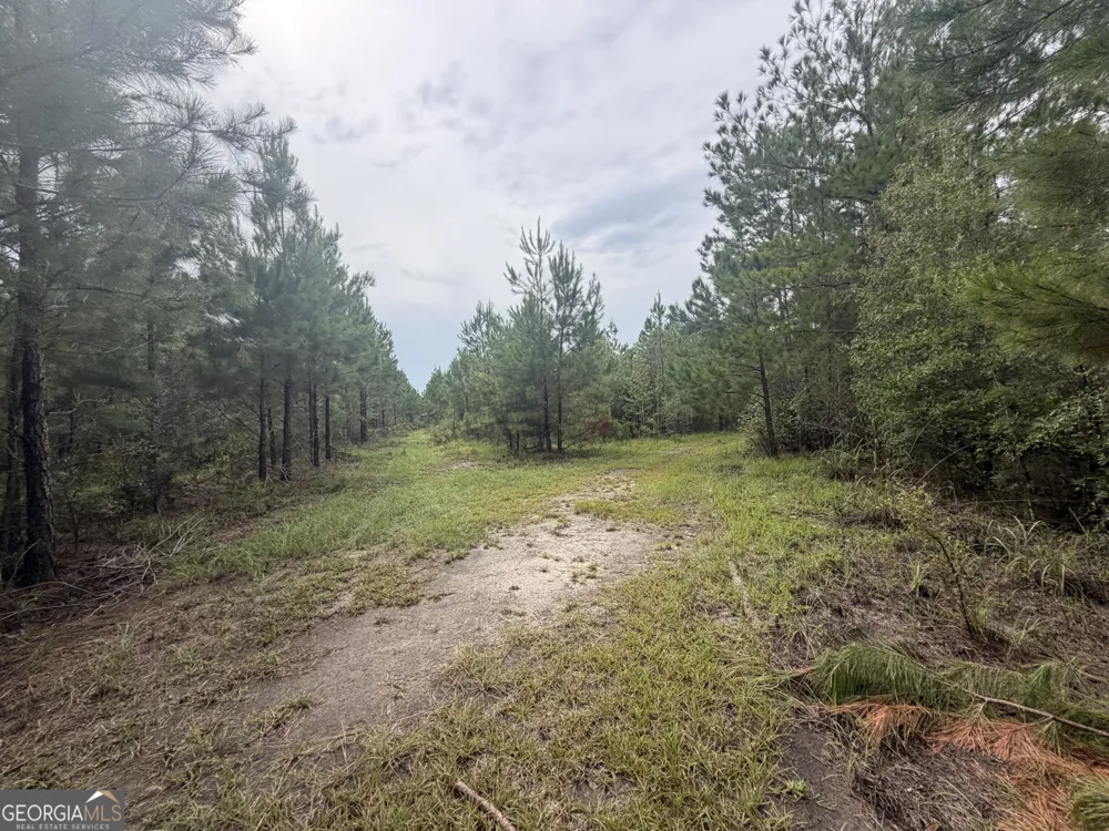 0 Jamestown Road Waycross, GA 31503