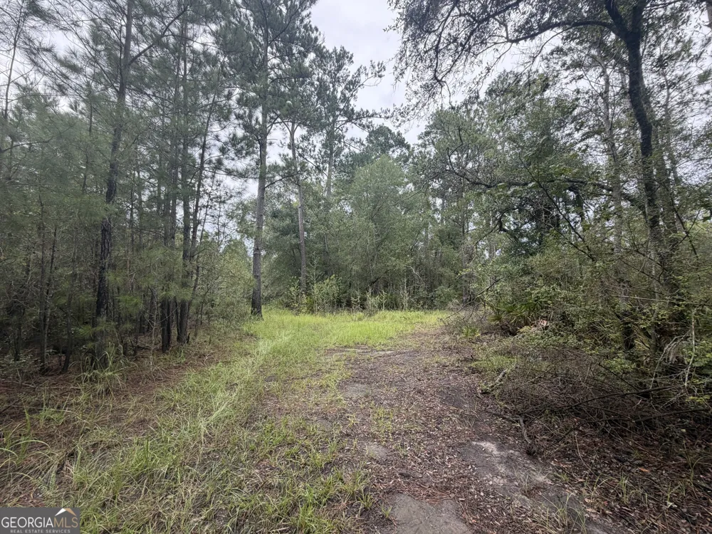 0 Jamestown Road Waycross, GA 31503