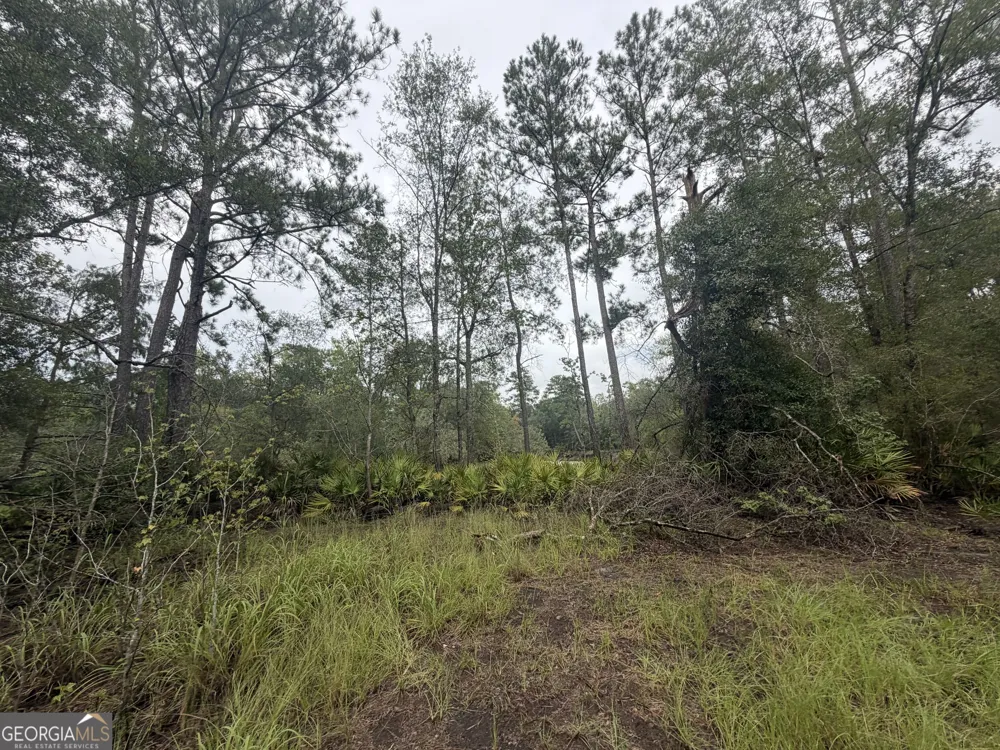 0 Jamestown Road Waycross, GA 31503