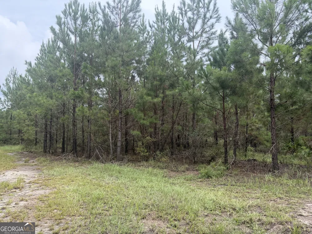0 Jamestown Road Waycross, GA 31503