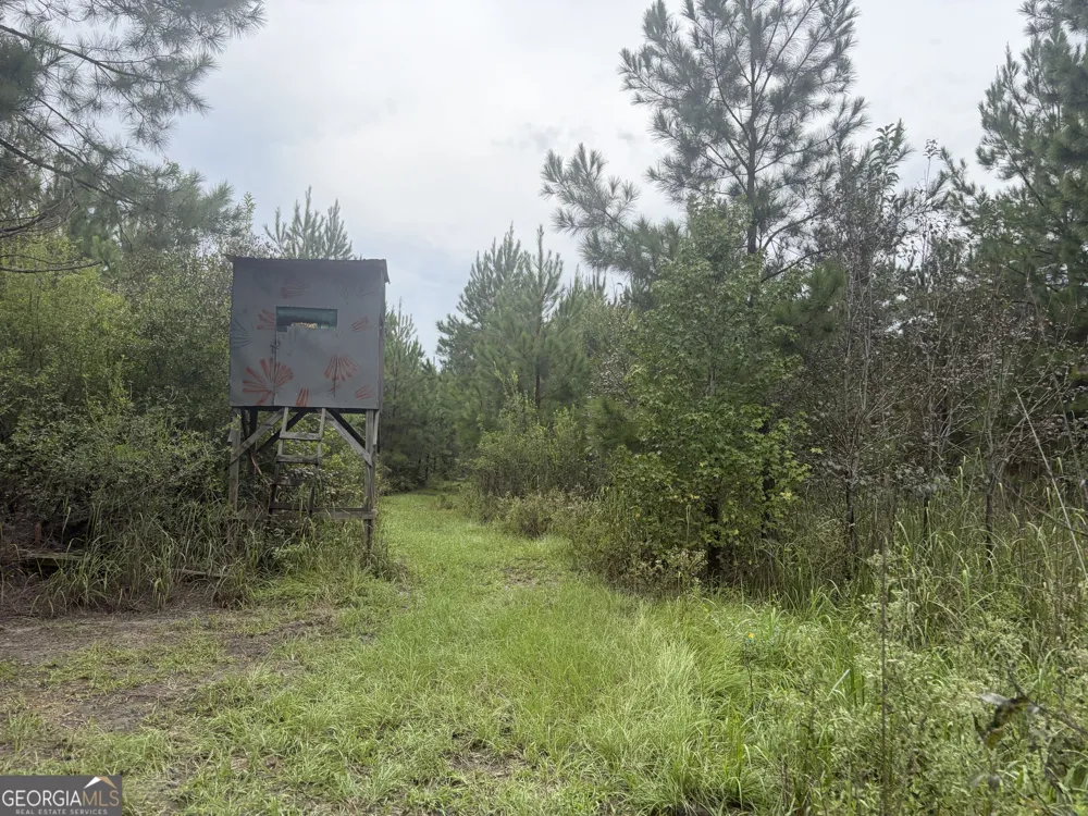 0 Jamestown Road Waycross, GA 31503