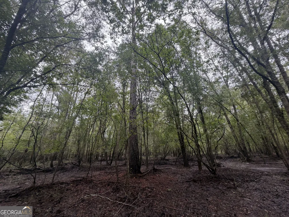 0 Jamestown Road Waycross, GA 31503