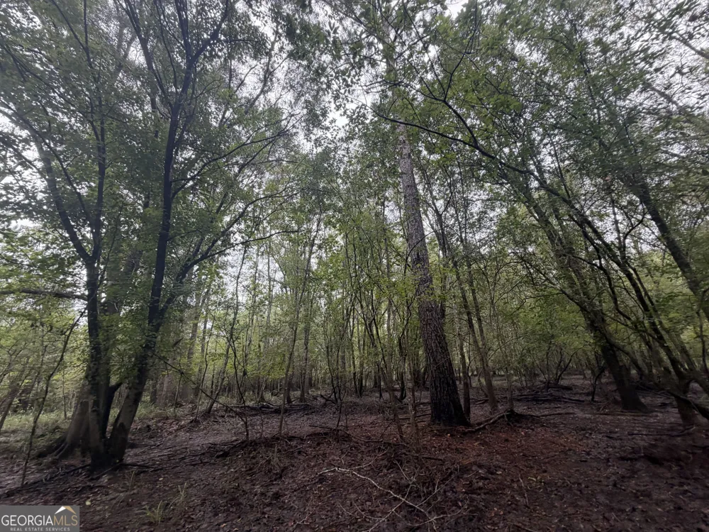 0 Jamestown Road Waycross, GA 31503