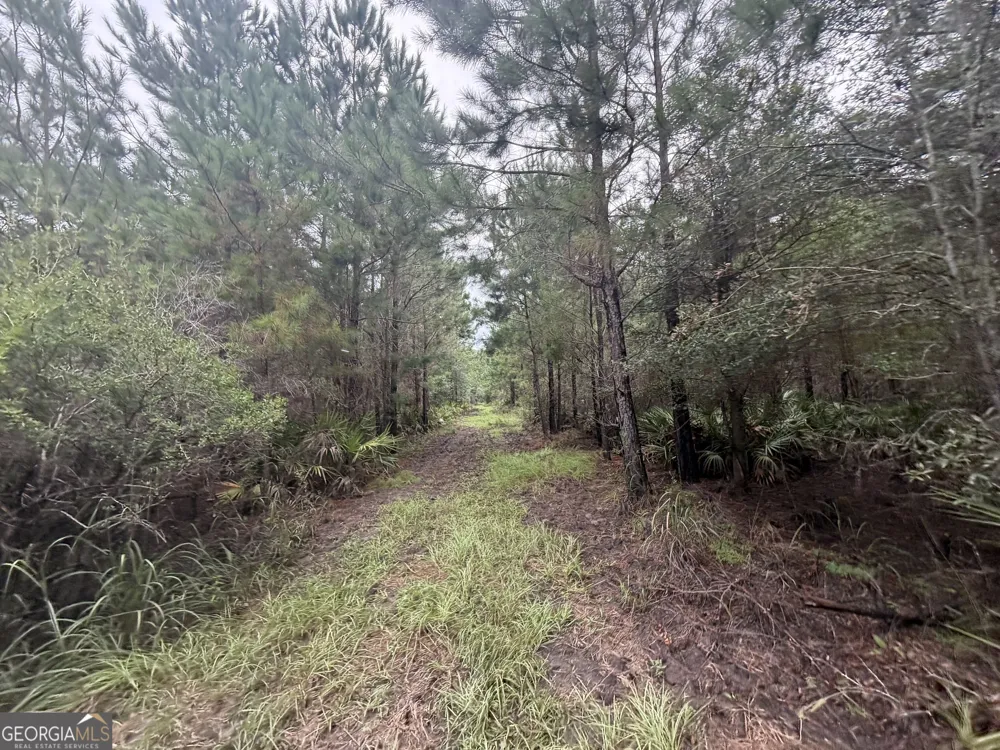 0 Jamestown Road Waycross, GA 31503