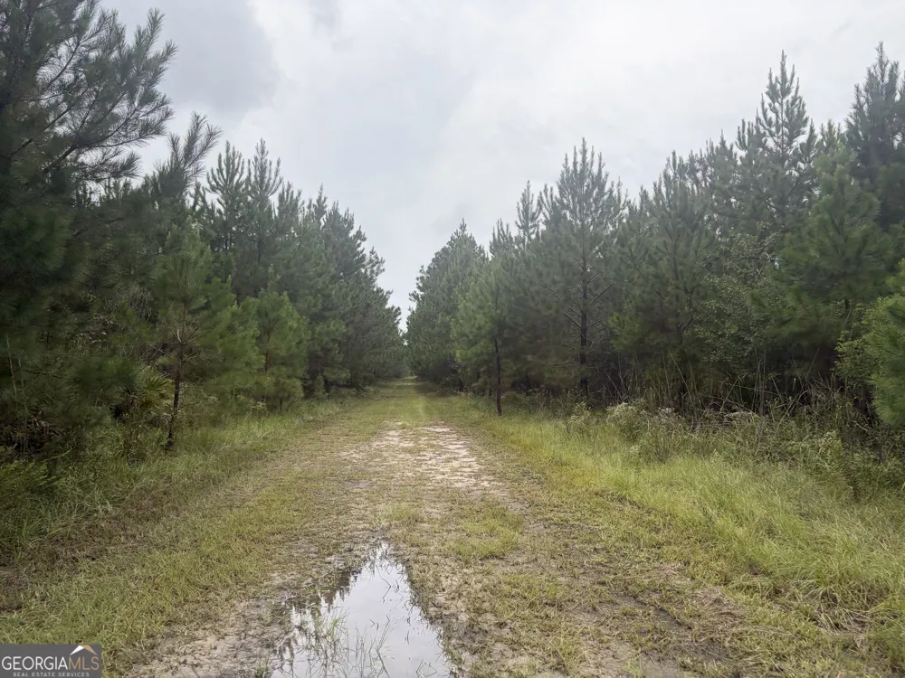 0 Jamestown Road Waycross, GA 31503